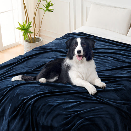 Lovana Lightweight Fleece Microfiber Soft Blanket